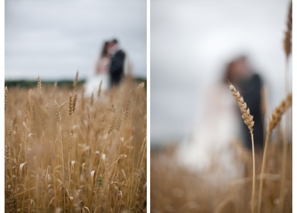Bride and groom portraits in field. Creative, professional wedding photography