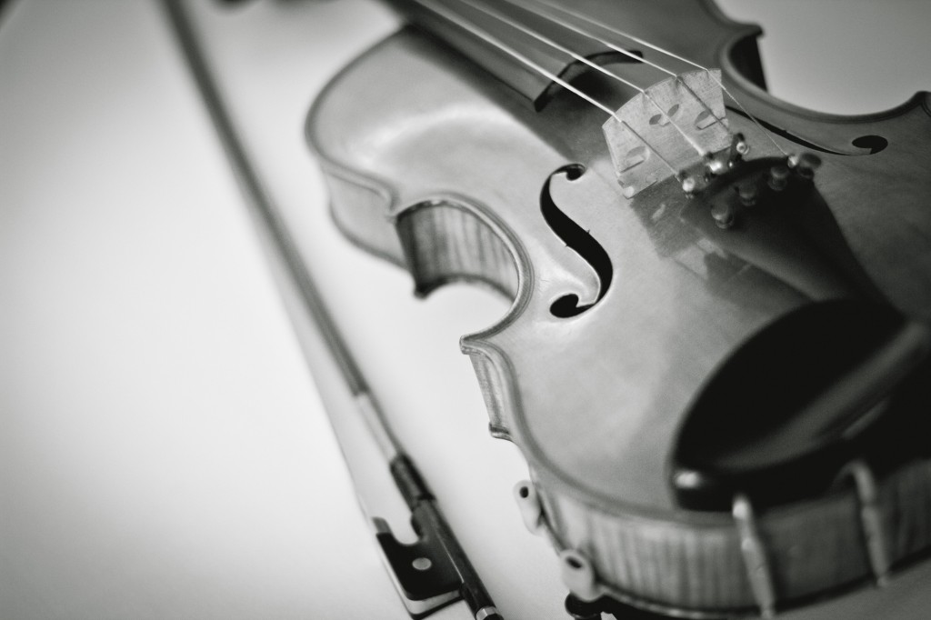 A close up shot of a violin from the string quartet, Cumbria Photographer