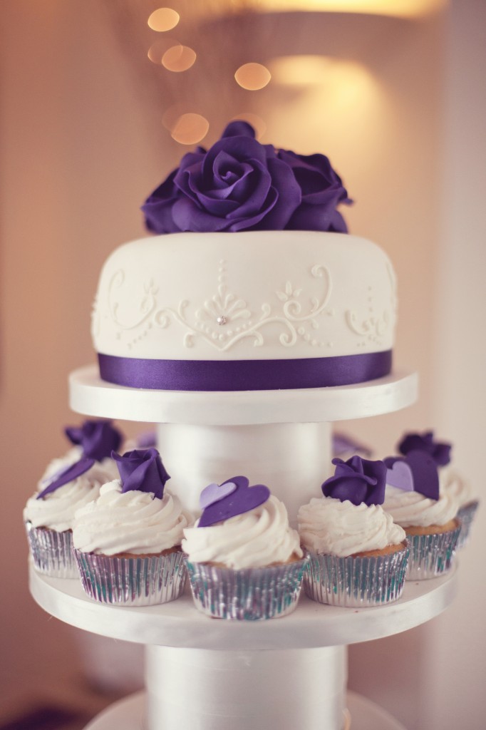 Wedding Cupcakes - North Wales Wedding Photography