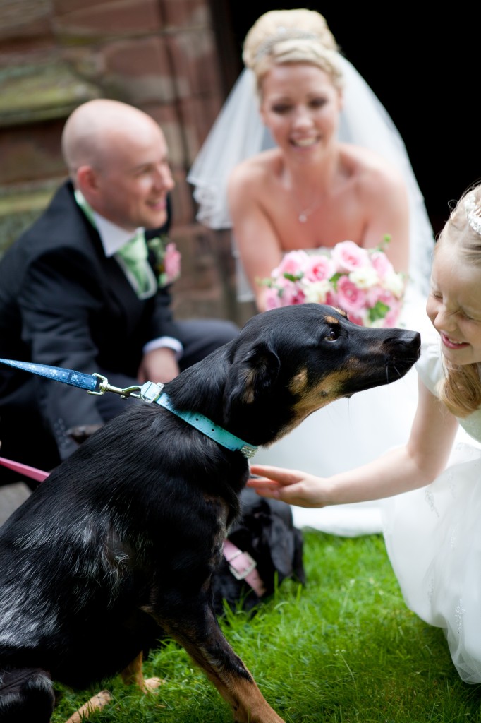 The bride and groom greet their dogs, Lancashire wedding photography