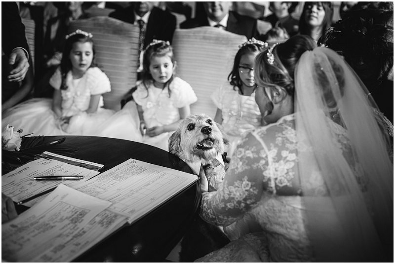 Karli Harrison Photography | Dog during Ceremony at The Inn on the Lake