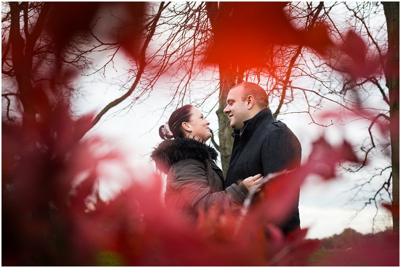 Framed by a red tree pre wedding shoot