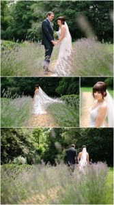 Bride and groom in fields of Lavender