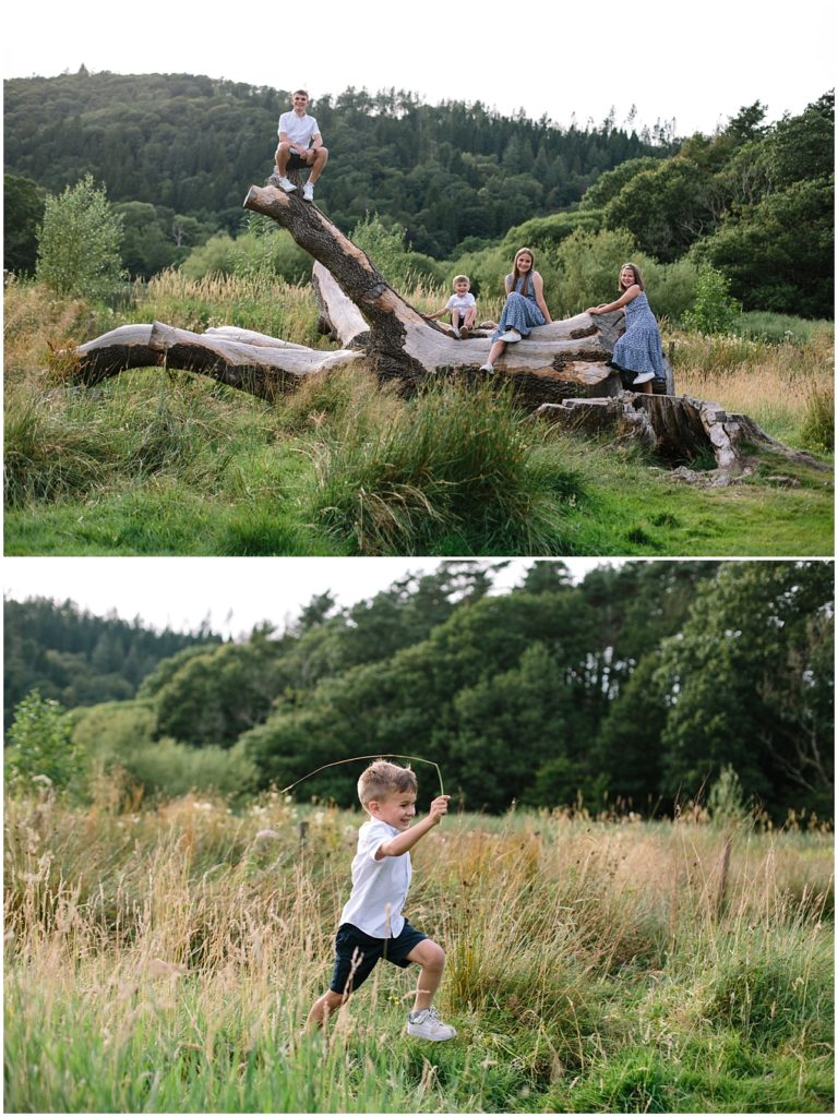 Kids on Log in Cumbria