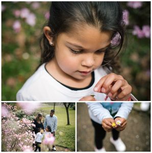 family photography Avenham and Miller Park