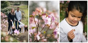 Preston Family Photographer Lancashire Photography
