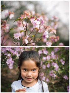 Family Photographer Preston Avenham Park