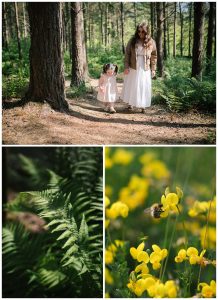 Center Parcs forest