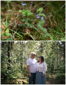 Center parcs photography