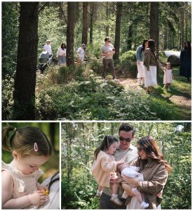 forest at Whinfell Penrith photographer