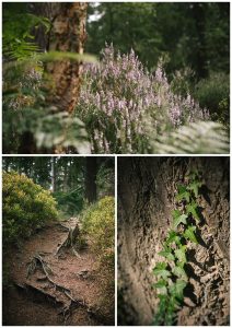 natural photos of center parcs