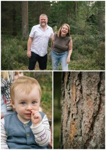 Natural photos at Whinfell