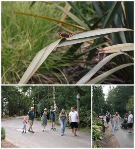butterfly photo at Whinfell