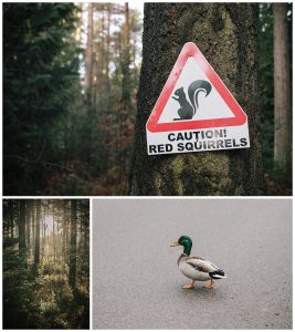 Detailed Photos of Penrith Center Parcs